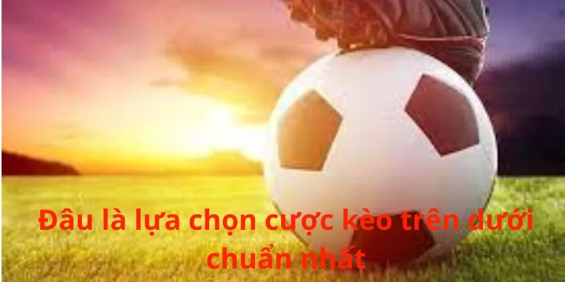 Đâu là lựa chọn cược kèo trên dưới chuẩn nhất