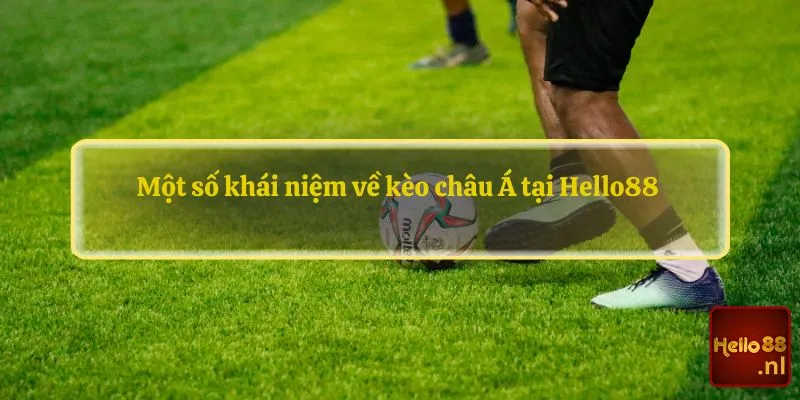 Một số khái niệm về kèo châu Á tại Hello88 